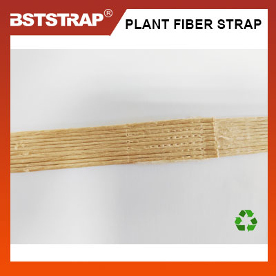 Plant Paper Fiber Strapping (25).jpg